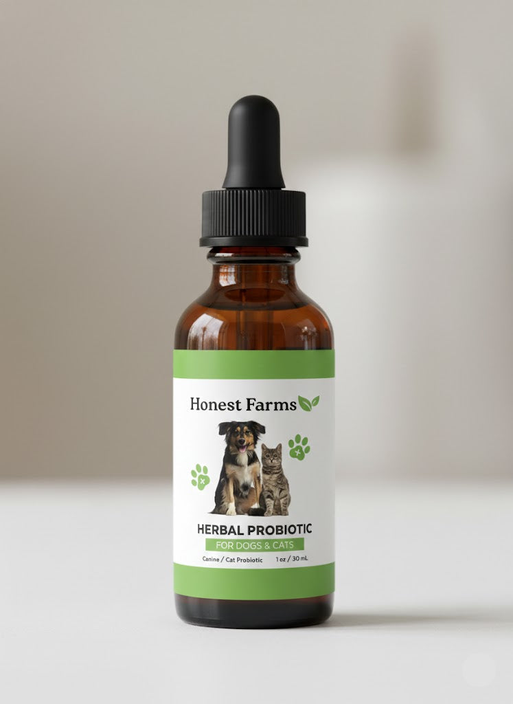 Pet Probiotic
